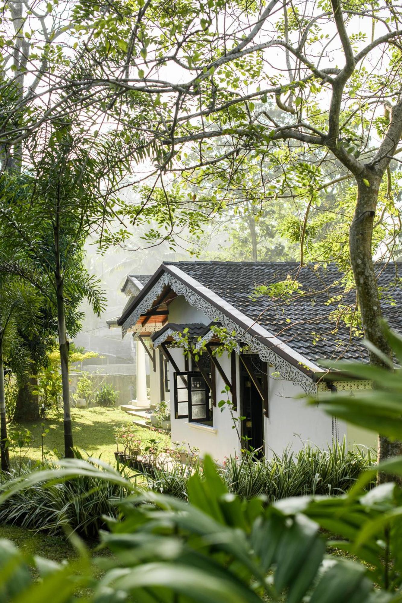 Roots Retreat Ξενοδοχείο Unawatuna Εξωτερικό φωτογραφία